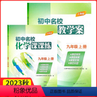 化学 九年级上 [正版]2023新初中名校化学教学案课课练九年级上册沪教版初三9年级下同步配套练习册知识与能力训练必刷题