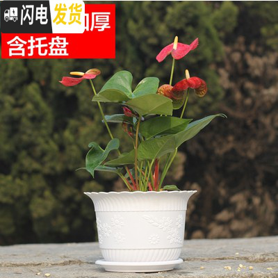 三维工匠波浪花边莲花盆塑料树脂仿陶型大花盆多肉绿萝花盆可水培送托 白色[开孔留言] 2个特大+2个大号+2个中号花盆容器