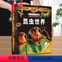 昆虫世界 [正版] 昆虫儿童3D立体书3-6-8-10-12岁以上百科世界拉鲁斯科普百科翻翻机关书课外阅读知识书籍一年级