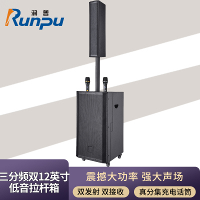 润普Runpu会议扩声拉杆音箱三分频双12英寸低音野外作训户外扩音带话筒专业拉杆音响音箱RP-S-ZLG12S