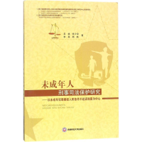 音像未成年人刑事司法保护研究吴斌 等 著