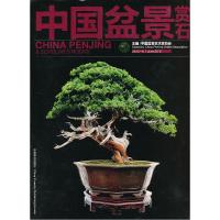 正版新书]中国盆景赏石2012-6中国盆景艺术家协会 编97875038664