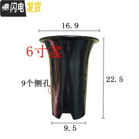 三维工匠园艺兰花盆塑料大中小号透气黑色带孔国兰君子兰墨兰花专用盆 6寸 同规格10个(送网套)花盆容器