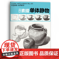 经典素描单体静物 素描单个体静物书临摹范本大画结构解剖与透视训练入门绘画画自学教程材精湛顶陶配罐步骤敲门砖美术高联考