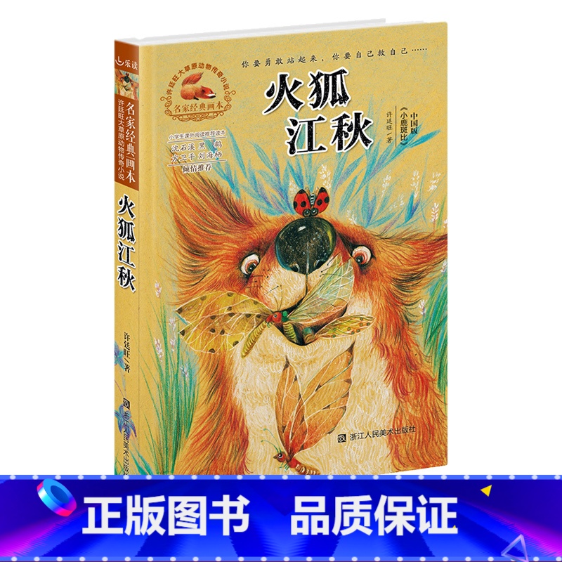 [正版]火狐江秋 名家经典画本 许廷旺大草原动物传奇小说 六五四三年级小学生课外书必读儿童文学书/少儿图书7-12岁彩