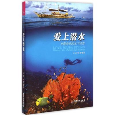 正版新书]爱上潜水:发现好看的水下世界王洁9787557000462