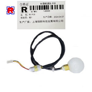 RX 温度仪探头 P10X