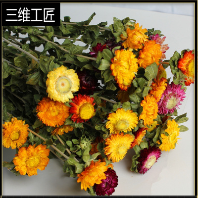 网红ins风干花花束雏菊七彩菊花文艺小清新客厅家居装饰拍摄道具三维工匠菠萝杆雏菊20朵花头干树枝
