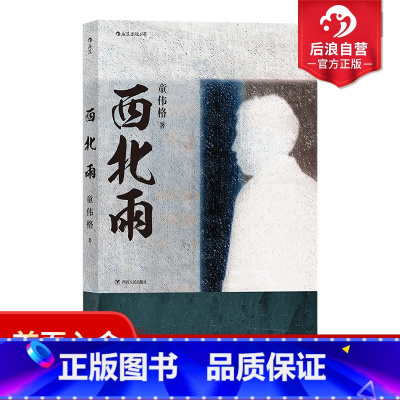 [正版] 西北雨 童伟格魔幻现实主义代表作品印刻文学港台当代长篇小说家族故事书籍