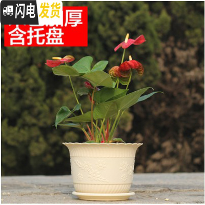 三维工匠波浪花边莲花盆塑料树脂仿陶型大花盆多肉绿萝花盆可水培送托盘 米色[开孔留言] 3个大号+3个中号+3个小花盆容器