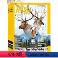 [正版]博物 2024年7月起订 一年共12期 中国国家地理青少年版 6-12岁中小学生课外阅读科普百科全书 期刊杂志