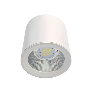洛安斯 LED明装筒灯 TD80W 个