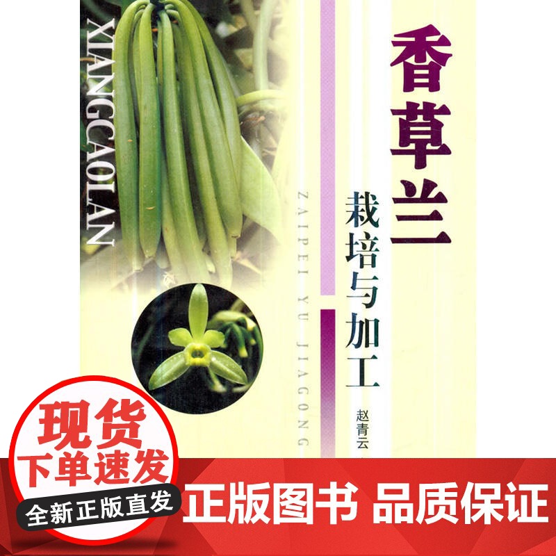 香草兰栽培与加工