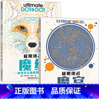 [正版]极限挑战 魔宫+魔线 2册 迷宫挑战 儿童脑力记忆力训练左右脑开发 逻辑思维训练全脑开发思维训练 注意力专注力