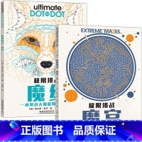 [正版]极限挑战 魔宫+魔线 2册 迷宫挑战 儿童脑力记忆力训练左右脑开发 逻辑思维训练全脑开发思维训练 注意力专注力