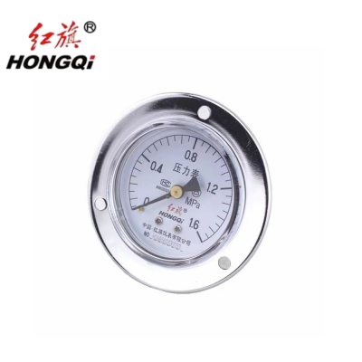 红旗 定制检测款轴向带边压力表Y60ZT 压力值请备注 块
