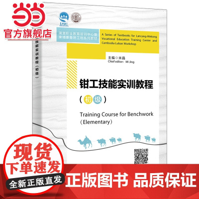 钳工技能实训教程(初级)