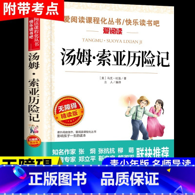 汤姆索亚历险记 [正版]小英雄雨来管桦着 四年级下册阅读课外书必读的书目快乐读书吧三至六年级上册书籍小学人民老师教育出版