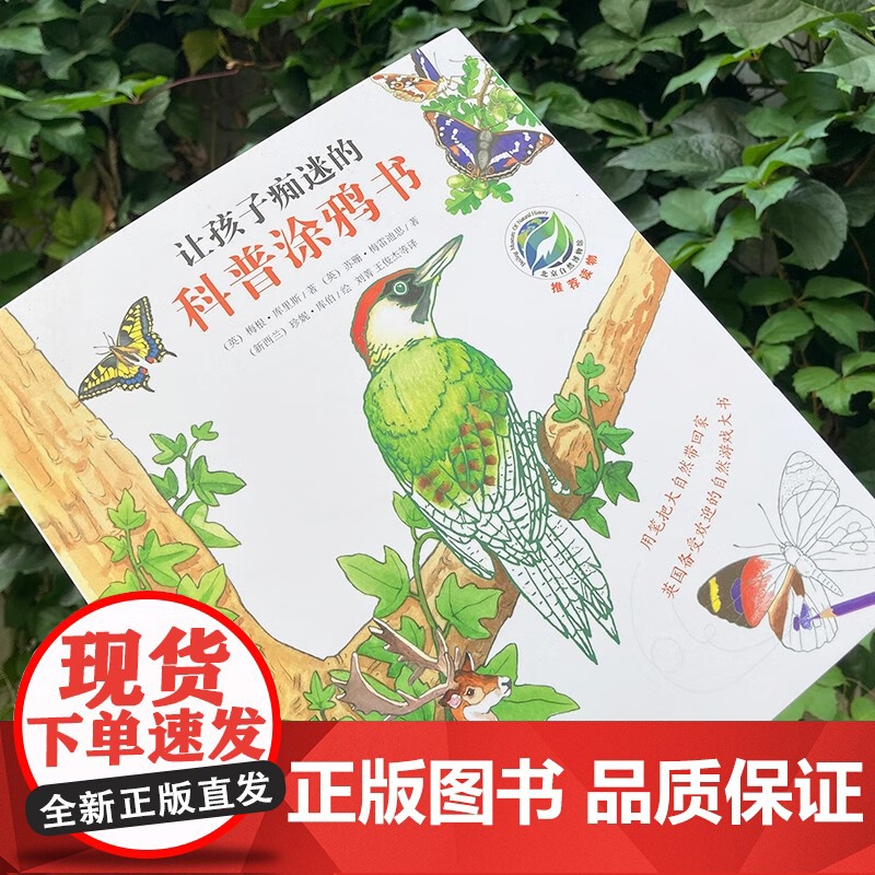 让孩子痴迷的科普涂鸦书 全6册 3-6岁 梅根·库里斯等 著 科普百科