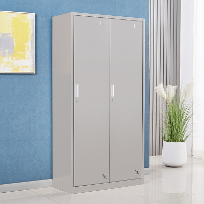 臻远 不锈钢201存储柜储物柜 2门更衣柜