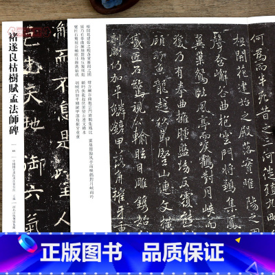 [正版]学海轩 褚遂良枯树赋孟法师碑066 哑光平铺繁体旁注传世书法碑帖原碑原帖楷书毛笔临摹字帖墨迹 中国画院书法篆刻