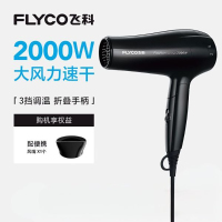 飞科(FLYCO)吹风机恒温护发 冷热调节 过热保护 家用电吹风大功率学生宿舍吹风机冷热风恒温吹风筒 黑色FH6231