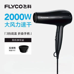 飞科(FLYCO)吹风机恒温护发 冷热调节 过热保护 家用电吹风大功率学生宿舍吹风机冷热风恒温吹风筒 黑色FH6231 FH6231