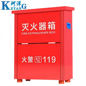 珂洋 灭火器箱 5公斤*2 个