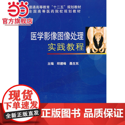 医学影像图像处理实践教程(普通高等教育“十二五”规划教材 全国高等医药院校规划教材)