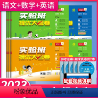 [人教版]语文+数学 一年级上 [正版]2023秋小学实验班提优大考卷1一2二3三4四5五6六年级上册春雨教育人教北师外