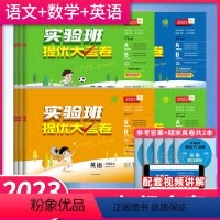 [人教版]语文+数学 一年级上 [正版]2023秋小学实验班提优大考卷1一2二3三4四5五6六年级上册春雨教育人教北师外