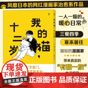 我的猫十二岁 藤人湖南美术出版社