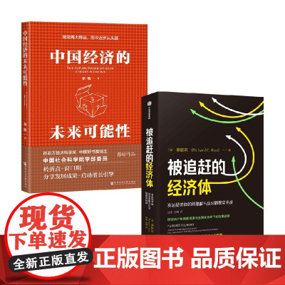 被追赶的经济体+中国经济的未来可能性 辜朝明等 著 经济