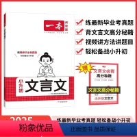 小升初 文言文 小学升初中 [正版]2025 小升初文言文 小学生毕背文言文通 小升初毕业考试文言文阅读训练考试真题集训