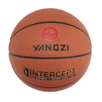 扬子嘉宝篮球YZ-MB771