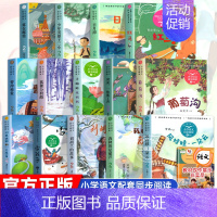 [全14册]二年级上册配套阅读 [正版]二年级上册必读课外书注音版 少年英雄王二小刘胡兰的故事纸船和风筝雪孩子适合小学生