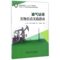 正版新书]油气钻采实物仿真实践指南编者:王璐//王卫强//黄东维/