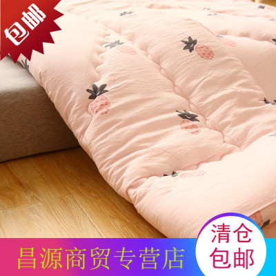 粉色菠萝新款冬被被芯床品水洗磨毛秋冬立体边被子棉被宿舍单人床