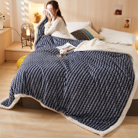 A类2.4kg双层毛毯180*200cm