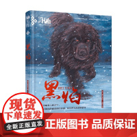黑焰 插图版 格日勒其木格·黑鹤 著 百科全书式动物文学 引导孩子尊重生命 敬畏自然 儿童文学