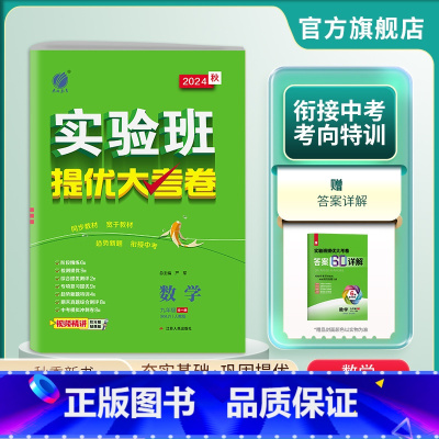 数学 九年级/初中三年级 [正版]2024年秋 初中数学实验班提优大考卷九年级全一册人教版 春雨教育数学九年级RJ版同步