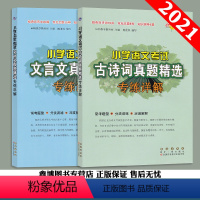 [文言文+古诗词真题精选]专项详解2本 [正版]小学语文考试文言文真题精选专练讲解 小学语文考试古诗词真题精选专练详解