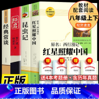[人教版]八年级上册+下册必读全4册 [正版] 昆虫记 人教版人民教育出版社 法布尔原著无删减 小学生三年级四五六初中生