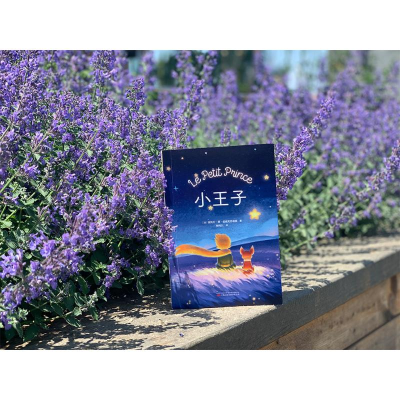 醉染图书小王子9787547059630