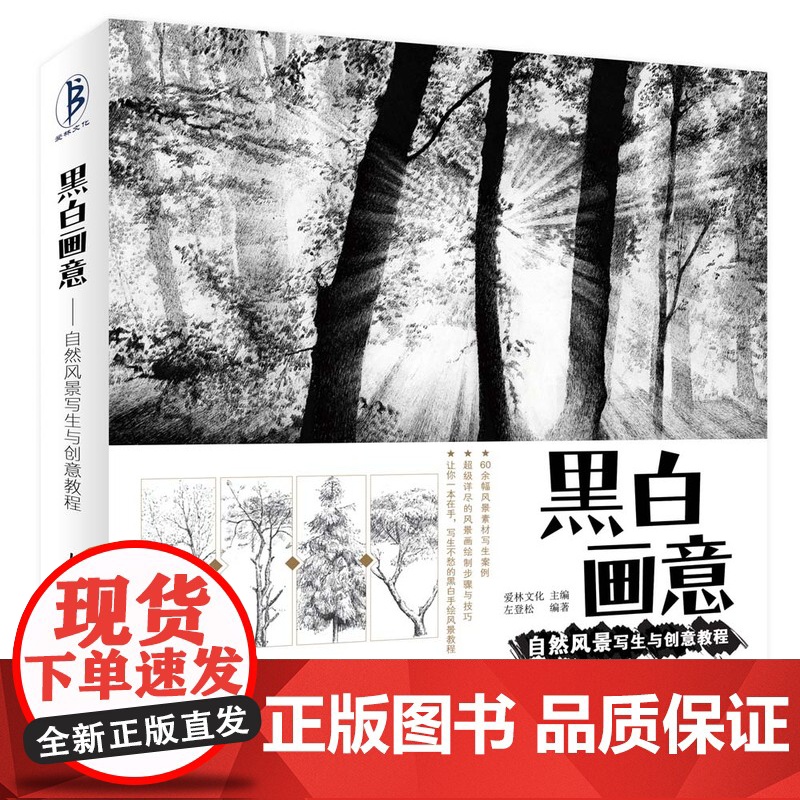 黑白画意 自然风景写生与创意教程 风景速写教程书铅笔素描基础教程风景画技法入门建筑风景速写基础素描铅笔画教材