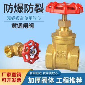 鑫迈凯斯 截止阀 耐高温铜截止阀 DN15个