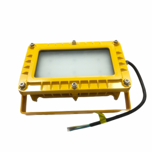 顶火 GMD8124A 防爆应急泛光灯 (计价单位:盏) 橙色