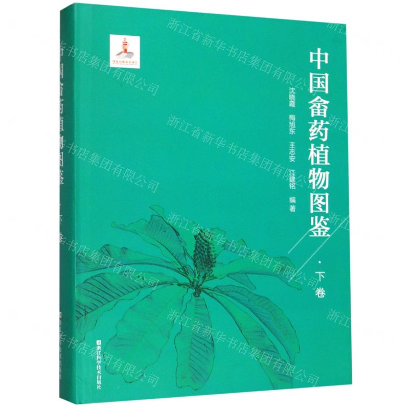 [N]中国畲药植物图鉴(下卷)(精)-9787534186912