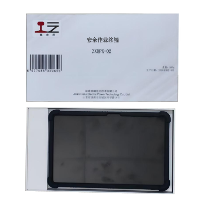 苑合厉 安全作业终端 ZXDPX-02 套