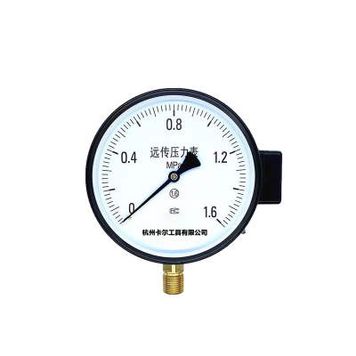 卡尔 远传压力表